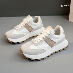  Xj[J[ fB[X lC [ gAbv  r ₷ Ȃ C fB[XV[Y V[Y EH[LOV[Y ubN zCg ʋ ʊw ̈ 