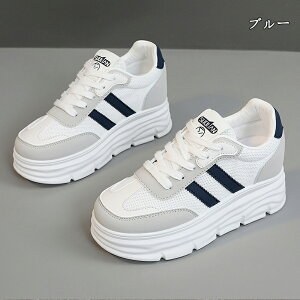  Xj[J[ fB[X lC [ gAbv  r ₷ Ȃ C fB[XV[Y V[Y EH[LOV[Y ubN zCg ʋ ʊw ̈ 