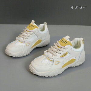  Xj[J[ fB[X lC [ gAbv  r ₷ Ȃ C fB[XV[Y V[Y EH[LOV[Y ubN zCg ʋ ʊw ̈ 