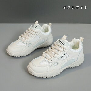  Xj[J[ fB[X lC [ gAbv  r ₷ Ȃ C fB[XV[Y V[Y EH[LOV[Y ubN zCg ʋ ʊw ̈ 