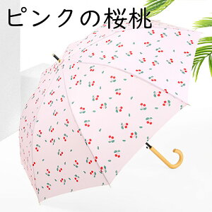 JP P y 350g 8{ fB[X vbV ^b`   ϕ ~J Mtg v[g 킢 J  w ΂̗t   sN̍