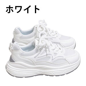 Xj[J[ Y StV[Y  bV EH[LOV[Y C L ₷ w V[Y X|[cV[Y JWA EH[LO Z w ʋ ʊw e