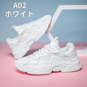 fB[X Xj[J[ Y C g[jOV[Y W V[Y EH[LOV[Y ɂ ꂢ  l d ȂC JWA ^C