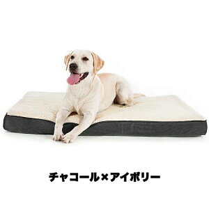 ybgxbh t Jo[O􂦂 Lp  SʊJI 2WAY ̈Uybg \t@xbh  L  ˂ ybgxbg Jo[􂦂 \ ₷ VjA