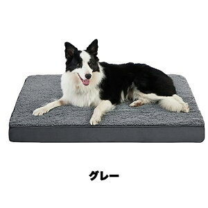 ybgxbh t Jo[O􂦂 Lp  SʊJI 2WAY ̈Uybg \t@xbh  L  ˂ ybgxbg Jo[􂦂 \ ₷ VjA