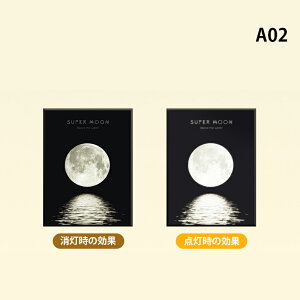 Xs[J[ USB Bluetooth5.3 u[gD[X Xs[J[  USBd L P[u CeA z y fUCtHgt[ j a LO v[g o^C  