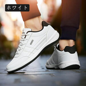 jOV[Y Y y ₷ X|[c JWA 傫TCY  ^C   StV[Y EH[LOV[Y Xj[J[