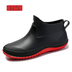 CV[Y C Cu[c Y C V[g AEghA h Ȃ JC EhgD y IV ₷ h ނ  ₷ LK[fjO fB[XC