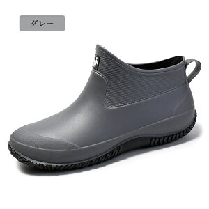 CV[Y C Cu[c Y C V[g AEghA h Ȃ JC EhgD y IV ₷ h ނ  ₷ LK[fjO fB[XC