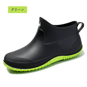 CV[Y C Cu[c Y C V[g AEghA h Ȃ JC EhgD y IV ₷ h ނ  ₷ LK[fjO fB[XC