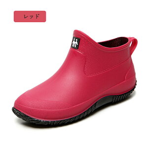 CV[Y C Cu[c Y C V[g AEghA h Ȃ JC EhgD y IV ₷ h ނ  ₷ LK[fjO fB[XC