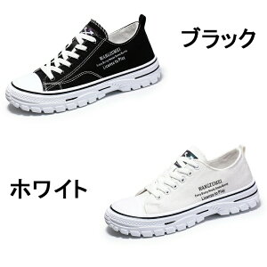 V[NbgV[Y  gAbv5cm up5cm wȂ Y Xj[J[ V[NbgV[Y Cq[ K JWAV[Y 