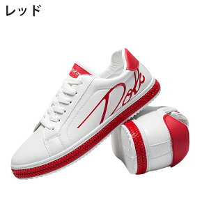 Xj[J[ Y YV[Y YXj[J[ ʋC _炩 zCg y C V[Y JWA yA Vv ꂢ ʊw ʋ s 24.5cm`27.0cm