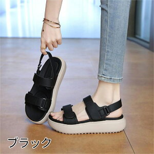  T_ fB[X y r[` T_ Xbp X|[cT_ _炩 Ȃ tbgT_ C ~ bNX gh Vv  C l ₷ L R