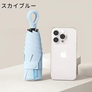 yyVslCz}JJ[ wփnh 5܂P y UVJbg ՗zP RpNg ܂ P gѕ֗ y ܂肽ݎP ϕ  rWlX Y RpNg ֗  