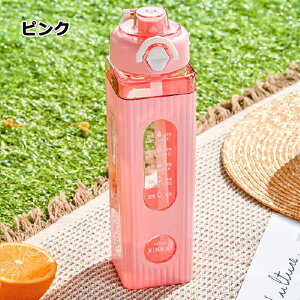  ^  q l  Xg[t 700ml 900ml EH[^[{g  gѕ֗ Rh~ q LbY y  킢 l X|[c{g ⋋ X|[chN 