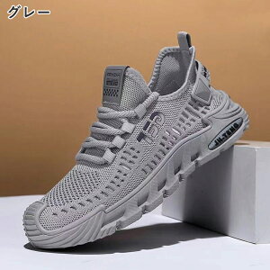 Xj[J[ ʋC Y  bV EH[LOV[Y C L ₷ V[Y X|[cV[Y JWA EH[LO ʋ ʊw e͐ ʋC ^C ɂ 