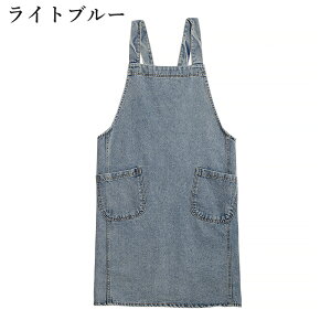 fjGv  H^Gv 100  @\|Pbg jp fB[X Y \ ɂ ƃGv EȒP ƒp ۈm K[f JtF X H