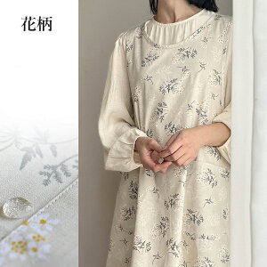 Gv  ԕ n ubN 100 @\|Pbg  jp fB[X Y \ ɂ ƃGv EȒP ƒp ۈm K[f JtF X H