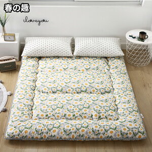 }bgX }bgX ~zc t  ~zc Ɍ  ~zc 10cm atA}bgX zc}bgX 10cm }bgX [Abv}bg QXgp}bg