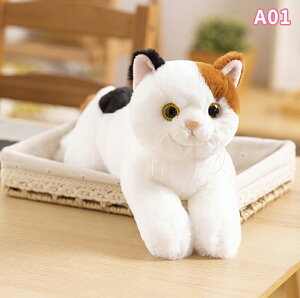 L̂ʂ AȔL̕  ˂ lR  ӂӂ   蕨 q a ̓ ̓ hV̓ v[g Mtg 50cm 70cm