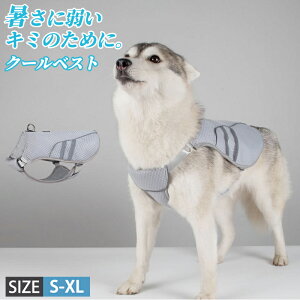 pN[xXg N[xXg M  ΍ S`XL p ⊴ pxXg ЂxXg   p ̗₷ U ⊴ pĕ pR[g ʋC Ăh o 