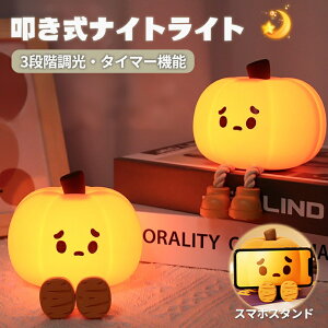 fXNCg iCgCg USB[d [Cg q pvL Ɩ  Qp  IV  VR ABS XgX Cg ^C}[@\t 铔 ȒP 