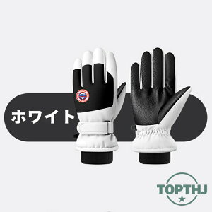 y}\P10{zXg[ }t[ fB[X Y 唻 n `FbN JV~^b`  ~ H uPbg Ђ| HD V[    sN   Z ̓ 