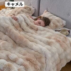 毛布 もこもこ毛布 ブランケット 寝具 ふわとろ毛布 2025new電気毛布 もこもこ 毛布ブランケット もこもこブランケット おしゃれ とろふわ 2枚合わせ毛布 厚手 布団 ミニ 洗える ひざ掛け