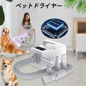 ybghC[ ybgwA[hC[ x  iK ybg hC[ wAhC[ @ Ɩp  hC[ u[  L lR Lp hC[ ^ ^