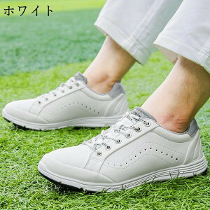 StV[Y Y  傫TCY 4E L rWlXV[Y \tgXpCN y ₷ ʋC ϋv ϊ K v[g ̓ ސEj 2025 V