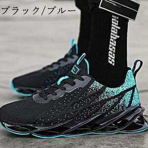 jOV[Y Xj[J[ Y fB[X X|[cV[Y EH[LO  V[Y jp Ȃ y ʊw ʋ   2025 V