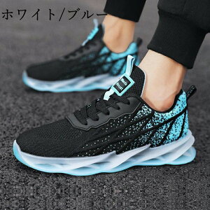 jOV[Y Xj[J[ Y fB[X X|[cV[Y EH[LO  V[Y jp Ȃ y ʊw ʋ   2025 V