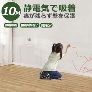 ǎ V[ یV[g ÓdC NX  L ǎیV[g   ͂ q n  gC hA q  ی V[g  NA  EH[ XebJ[ 