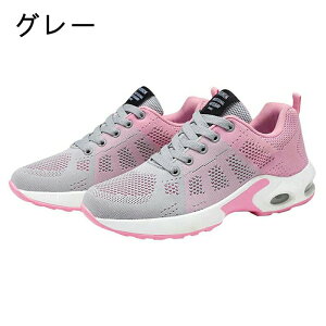 Xj[J[ StV[Y fB[X L   y  ʋ ~ ^C  X|[cV[Y jOV[Y EH[LOV[Y 2025 V