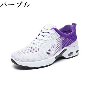 Xj[J[ fB[X Y jOV[Y GA[NbV X|[c EH[LO WMO y ʋC h r JWA bV ʊw ʋ 2025 V