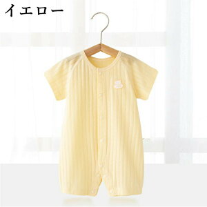 xr[ p[X 100   [EFA Zp ܕ OJ  Ԃ ̎q j̎q V[g z xr[   n  2025 V