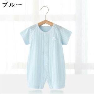 xr[ p[X 100   [EFA Zp ܕ OJ  Ԃ ̎q j̎q V[g z xr[   n  2025 V