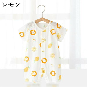 xr[ p[X 100   [EFA Zp ܕ OJ  Ԃ ̎q j̎q V[g z xr[   n  2025 V