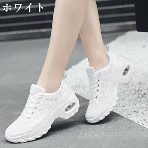 Xj[J[ fB[X  V[Y C EH[LOV[Y U lC  jOV[Y L ^C y Ȃ i ₷ ʋC 2025 V