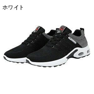 StV[Y Xj[J[ Y fB[X  XpCNX L y JWA jO EH[LO h ^C    ʋC 2025 V