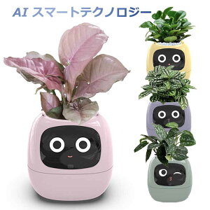 y~AICeWFgzIvyX}[gv^[ X}[gPAX}[gybg LED X}[gz[@\ ϗtA ~j Aؔ CeAO[  ^y 