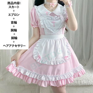 Ch RXv 4F 傫TCY RJtF Ch Ղ nEB SX t  \ S`5XL ؃Zbg ChRX`[  NX SVbN V[g 