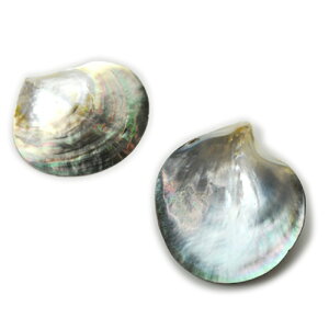 VRLpbg lCH[ | WFlC lC lCpi WF VR VF ZtlC lCp gC g[ v[g pbg M ANZT[g[ lCpbg Xg[