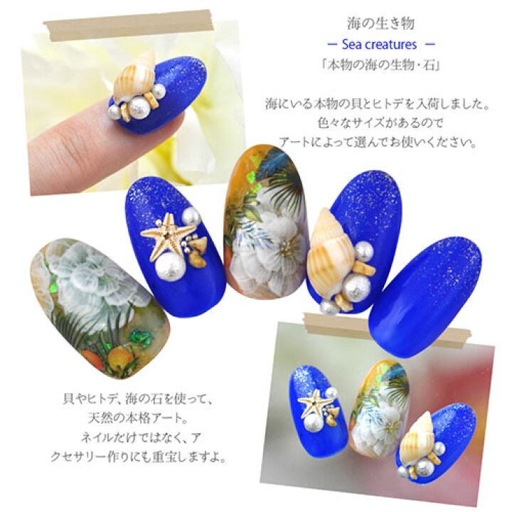 楽天市場 全品半額coupon配布中 ネイルパーツ 天然貝 本物ヒトデ 天然石 ネイルジュエリー スターフィッシュ マリンパーツ ネイルアートメタル ヒトデ サマーネイル 夏 ジェルネイル ジェル ネイルアート ネイルジュエリー マリン サマー メタルスタッズ ネイル工房
