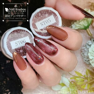 楽天市場 Select Color Stシリーズ Terracotta シアー テラコッタ ブラウン えんじ カラージェル ジェルネイル セレクトカラージェル カラー ポリッシュ ネイルジェル アートジェル ジェルネイル用品 爪 カラージェルネイル ジェルネイルアート ネイル工房 にわちゃん