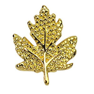 ySizcouponOzzzlCp[c ^p[c 5 lCWG[ t[ [v [t t  | ^ lC p[c WFlC lCpi WF WFlCp[c 