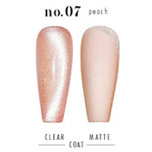 ySizcouponOzzzF }OlbglC t[c̉ʏ`̂悤ȓӂ uFruitMagnetv J[WF WFlC NAJ[ t[c}Olbg lCWF 