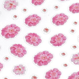 ySizcouponOzzzlCV[ AoT_[R{×MIKI t[  Of[V ` | WFlC lC lCpi WF V[ fRpi \邾 WFl