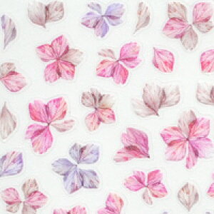 ySizcouponOzzzlCV[ t[ ԕ Ԃт  ɂ Of[V pXe p[v  sN 菑 | WFlC lC lCpi WF V[ \邾